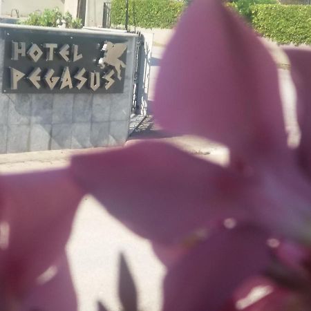 Pegasus Hotel ハニオティス エクステリア 写真