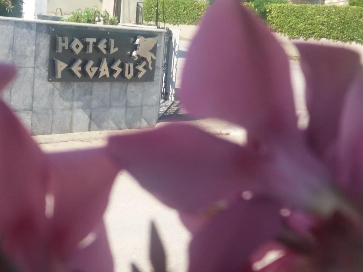 Pegasus Hotel ハニオティス エクステリア 写真